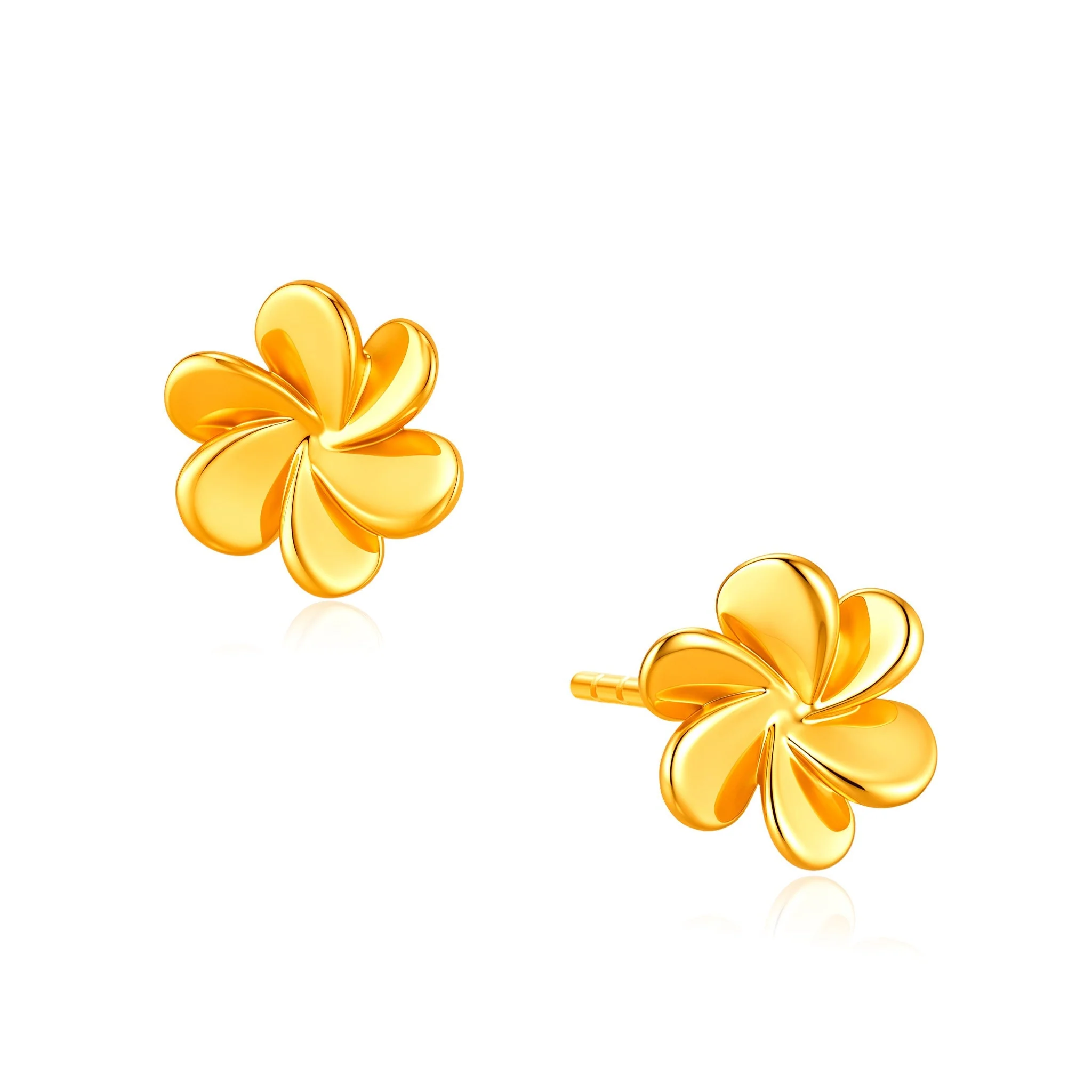 ✨ 6.6 SALE ✨